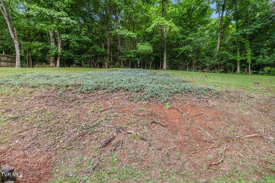 Photo #10: 707 Lazywood Drive