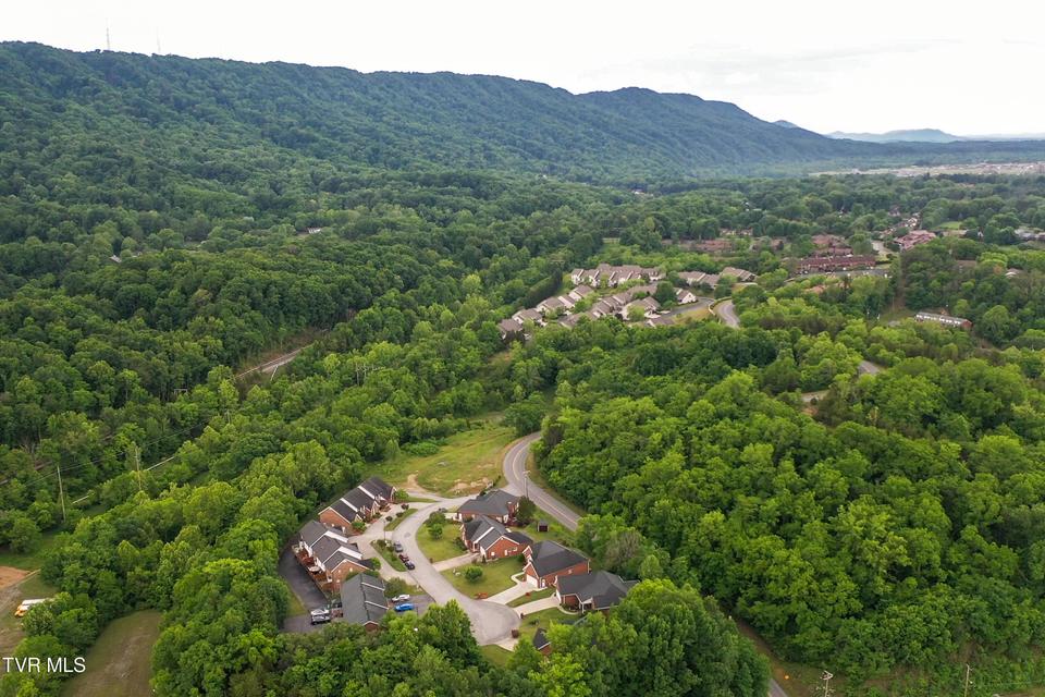 Photo #29: 1723 Blakewood Court