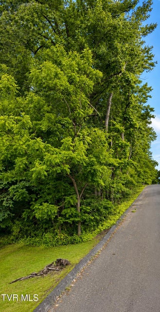 Photo #2: 1511 Hillside Avenue