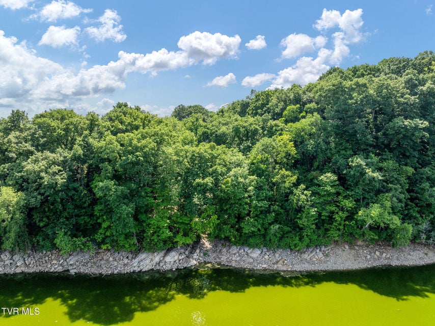 Photo #5: 340 Melinda Ferry Road
