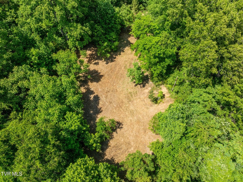 Photo #15: 340 Melinda Ferry Road