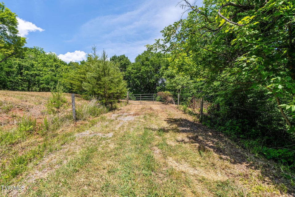 Photo #18: 340 Melinda Ferry Road