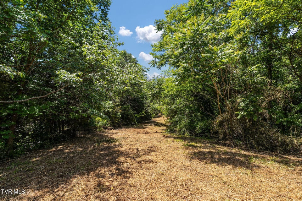 Photo #22: 340 Melinda Ferry Road