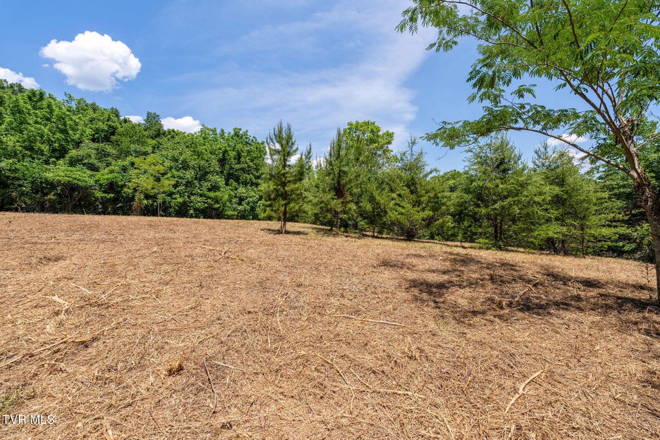 Photo #23: 340 Melinda Ferry Road