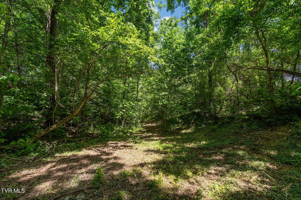 Photo #31: 340 Melinda Ferry Road
