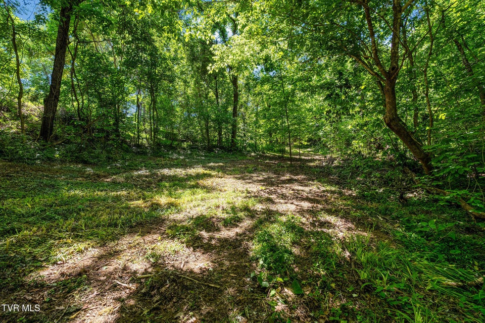Photo #33: 340 Melinda Ferry Road