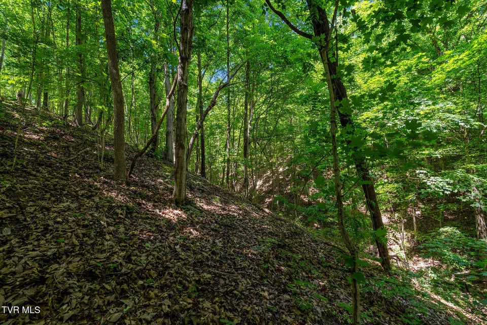 Photo #35: 340 Melinda Ferry Road