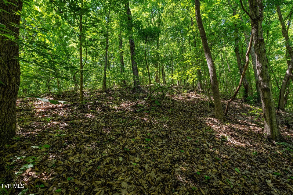Photo #36: 340 Melinda Ferry Road