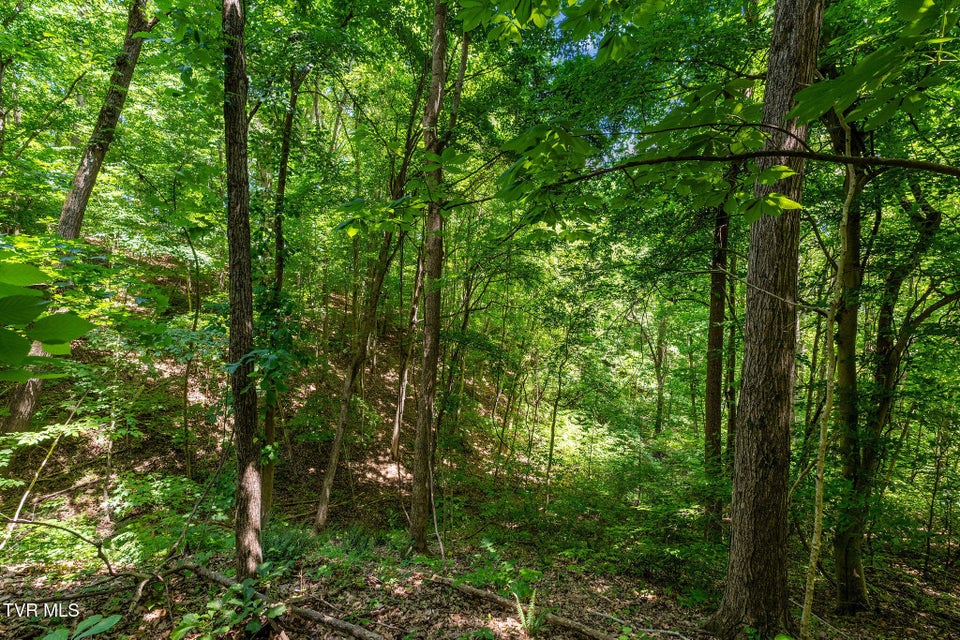 Photo #37: 340 Melinda Ferry Road