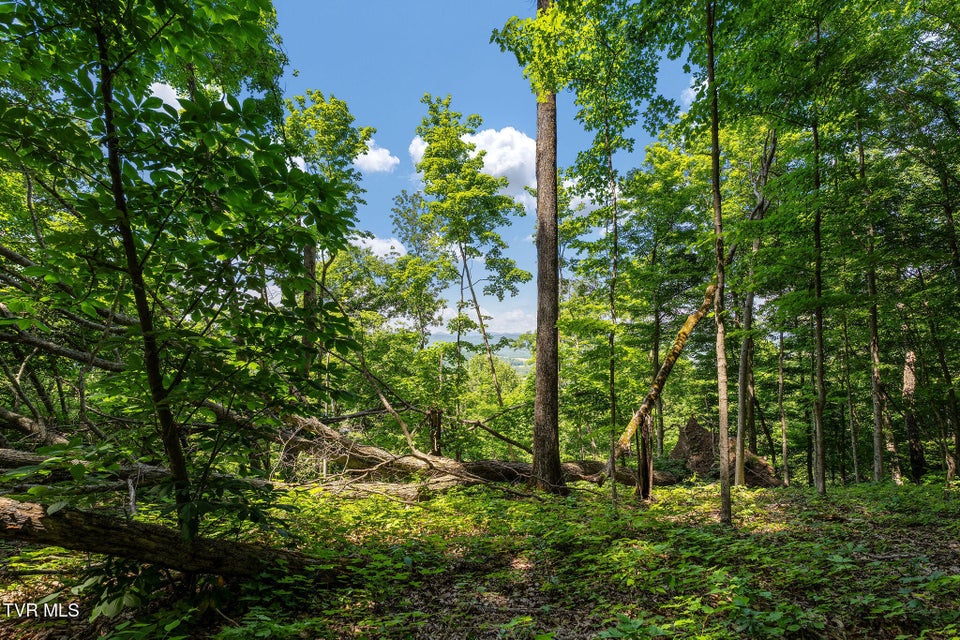 Photo #44: 340 Melinda Ferry Road