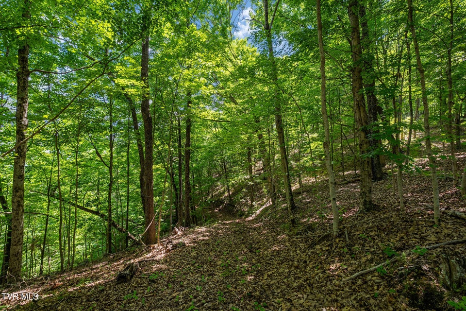 Photo #46: 340 Melinda Ferry Road