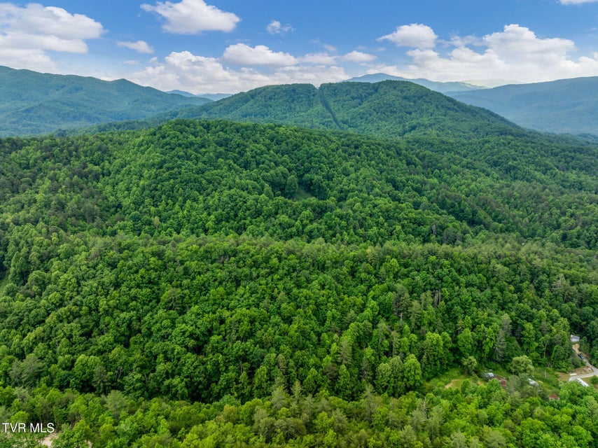 Photo #7: Tbd Black Mountain Road