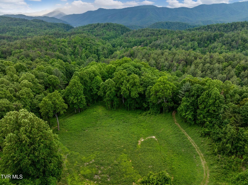 Photo #3: Tbd Black Mountain Road