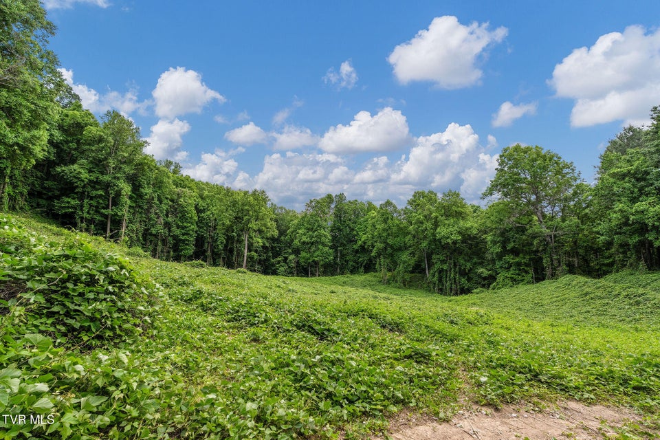 Photo #5: Tbd Black Mountain Road