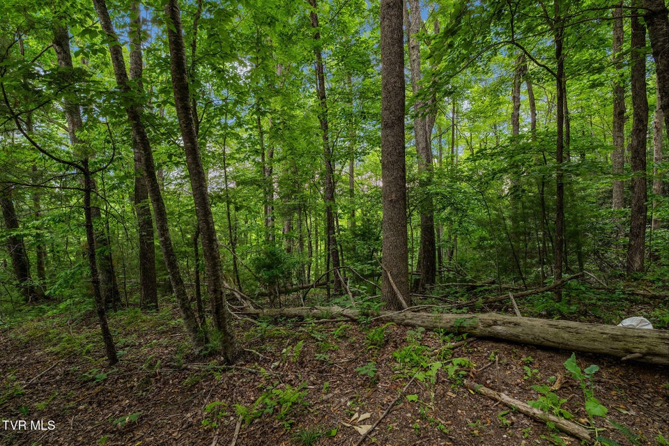 Photo #16: Tbd Black Mountain Road