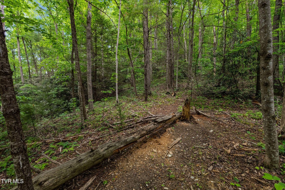 Photo #18: Tbd Black Mountain Road