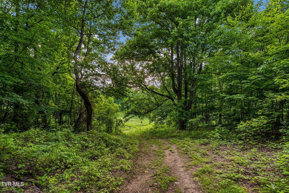 Photo #19: Tbd Black Mountain Road