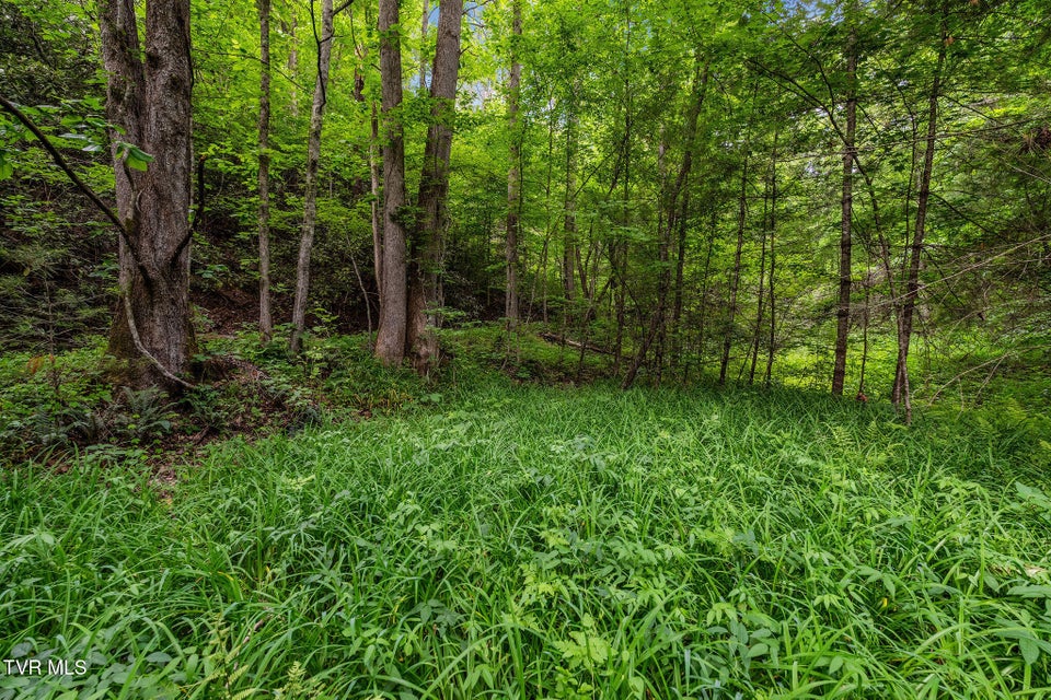 Photo #24: Tbd Black Mountain Road