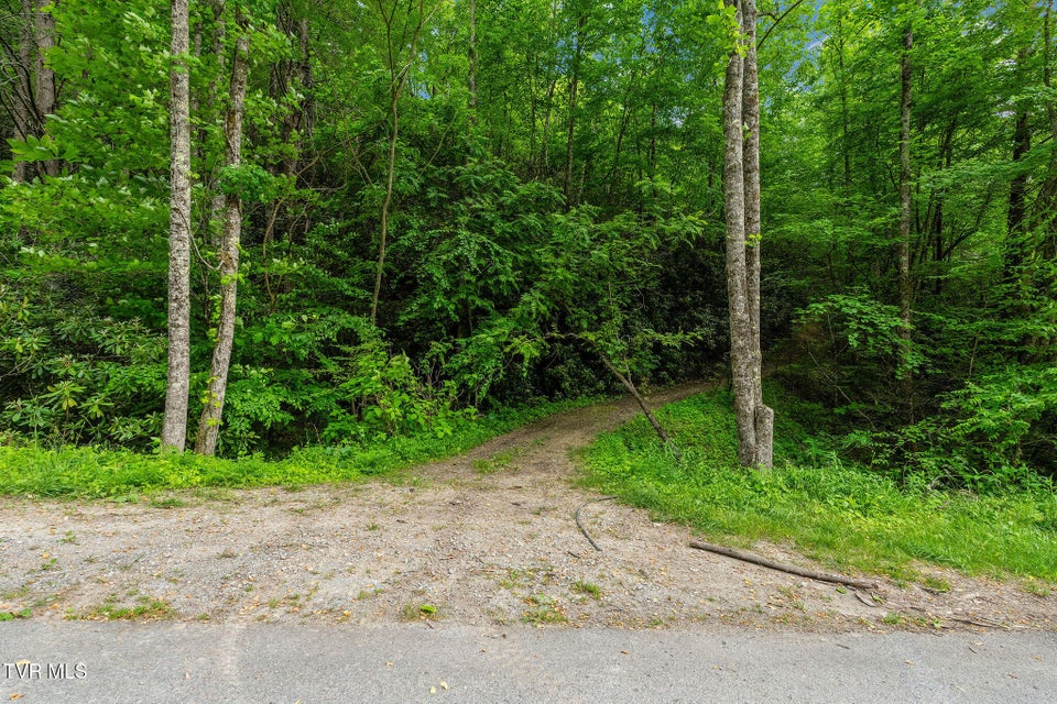 Photo #26: Tbd Black Mountain Road