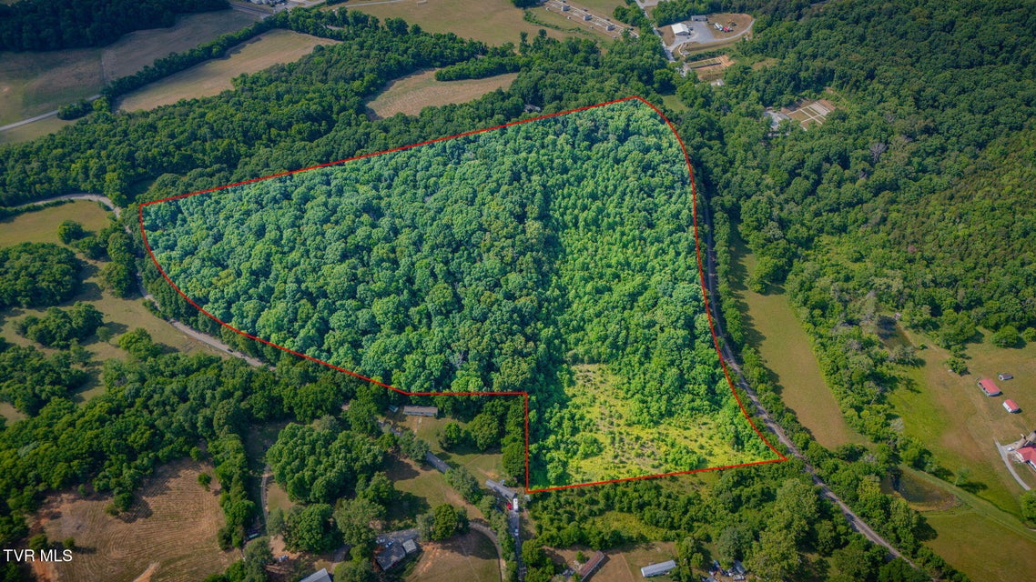 Photo #2: Lot 1 Burkey Road