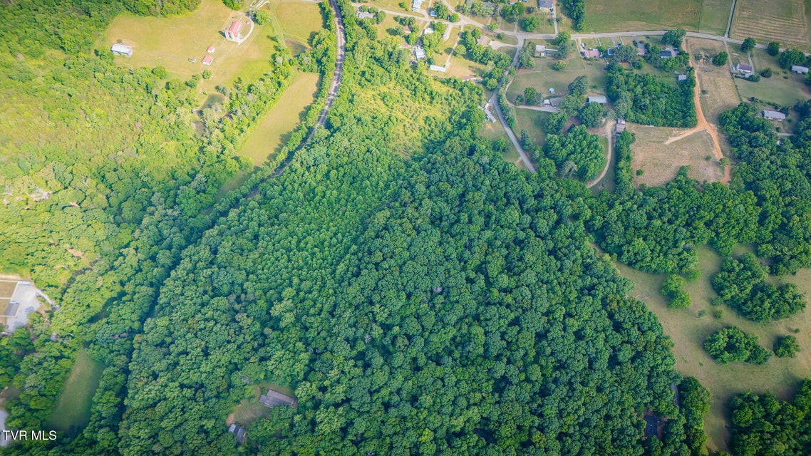 Photo #9: Lot 1 Burkey Road