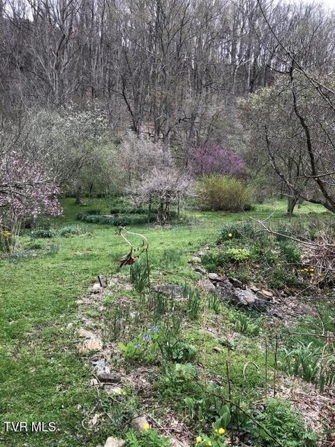 Photo #14: 451 Heaton Creek Road