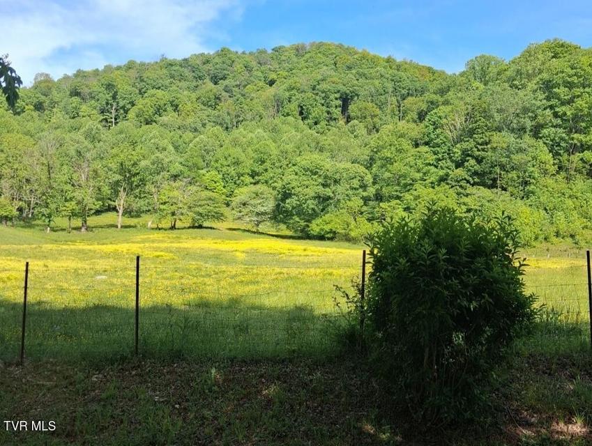 Photo #34: 451 Heaton Creek Road