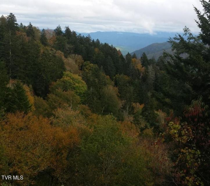 Photo #36: 451 Heaton Creek Road