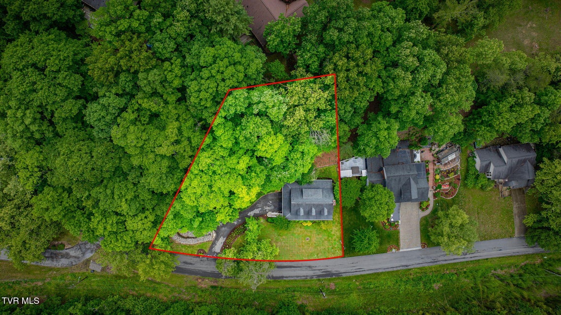 Photo #45: 1933 Birchwood Road