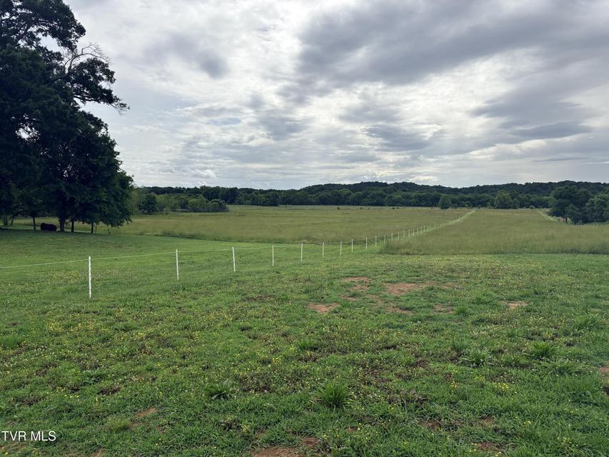 Photo #23: 830 Toby Road