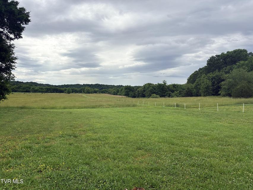 Photo #25: 830 Toby Road
