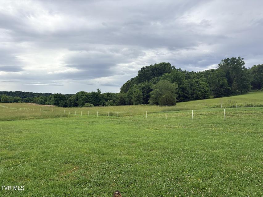 Photo #26: 830 Toby Road