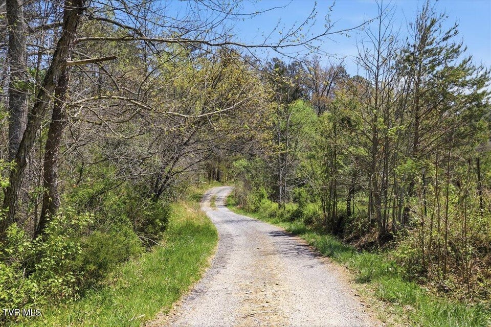 Photo #36: 155 Barker Road