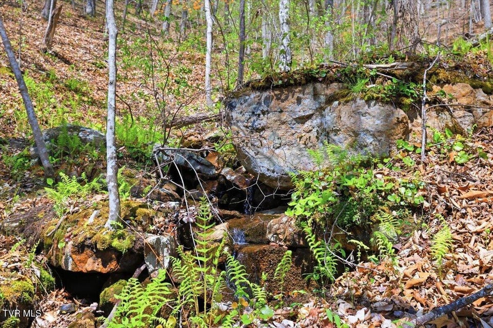 Photo #50: 155 Barker Road