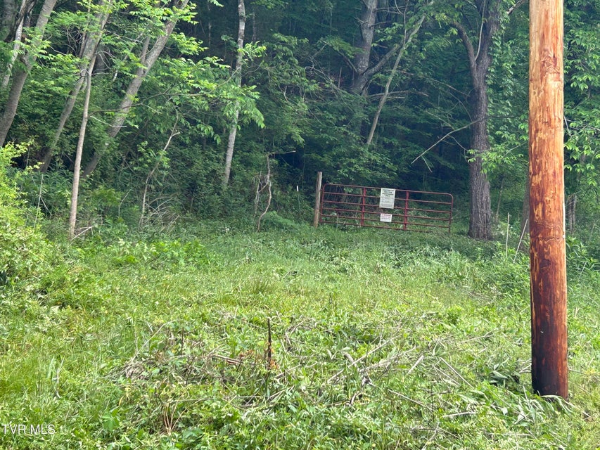 Photo #9: 1684 Draft Road