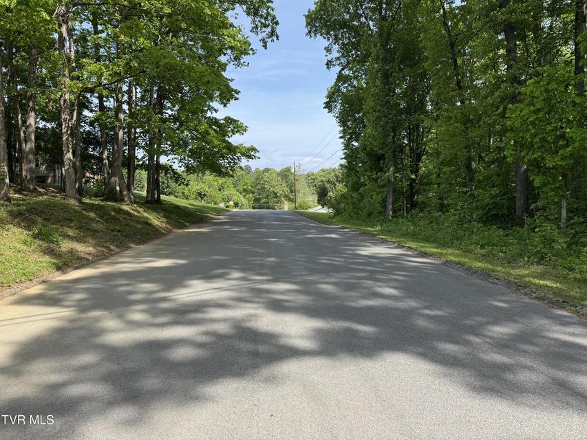 Photo #3: Lot 5 Parrish Drive