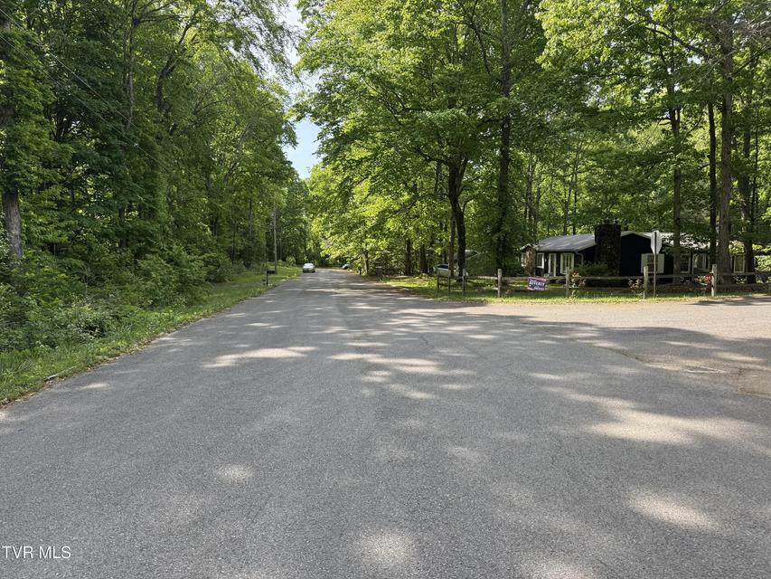 Photo #4: Lot 5 Parrish Drive