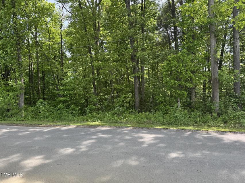 Photo #2: Lt 6 Parrish Drive