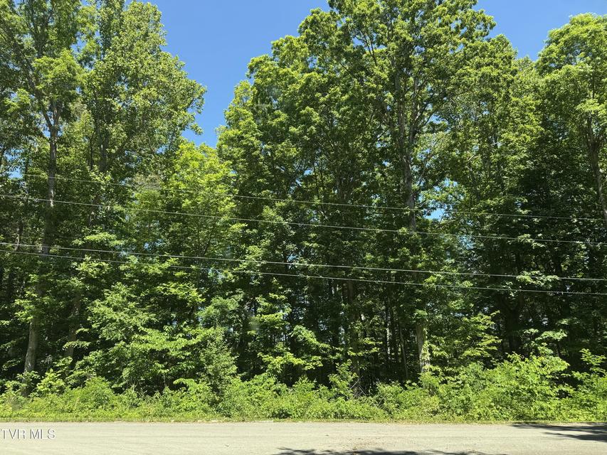 Photo #7: Lt 6 Parrish Drive