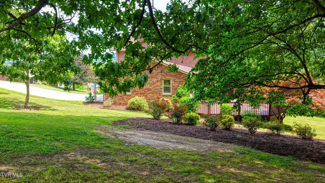 Photo #63: 209 Bernard Avenue