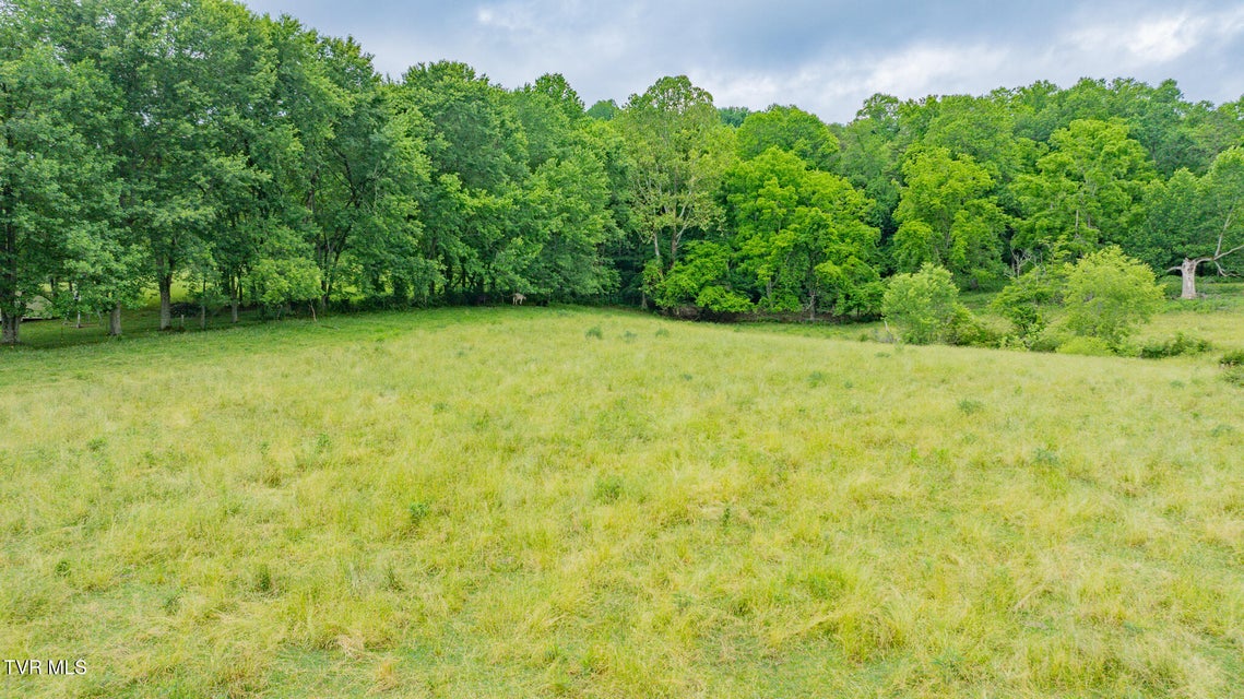 Photo #4: Tbd Garrison Hollow Road