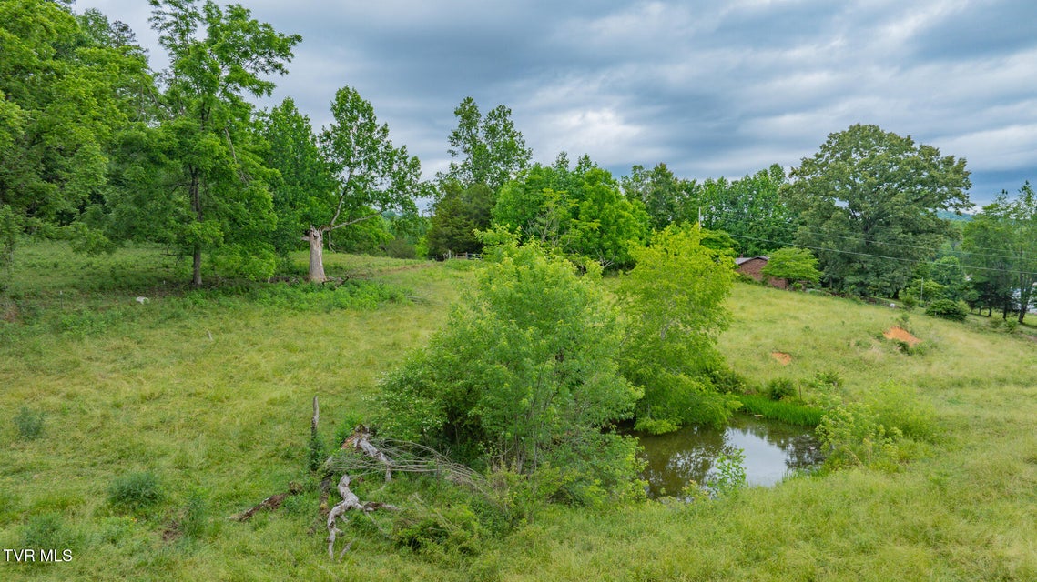 Photo #8: Tbd Garrison Hollow Road