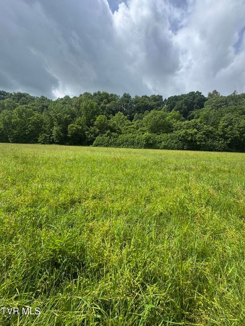 Photo #4: Tbd Highway 11 Lot 23 