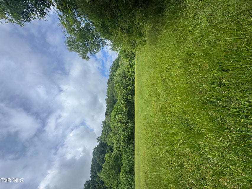 Photo #2: Tbd Highway 11 Lot 24 