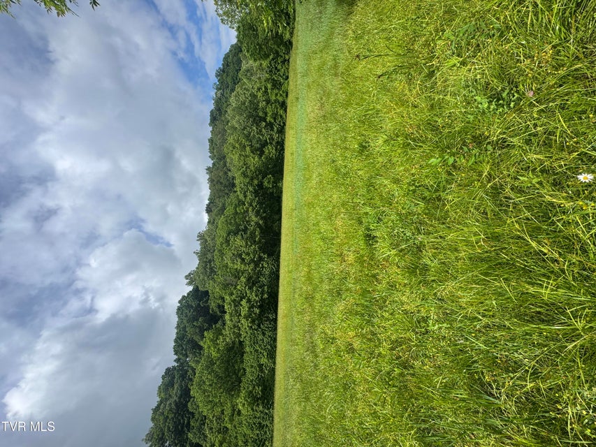 Photo #3: Tbd Highway 11 Lot 24 