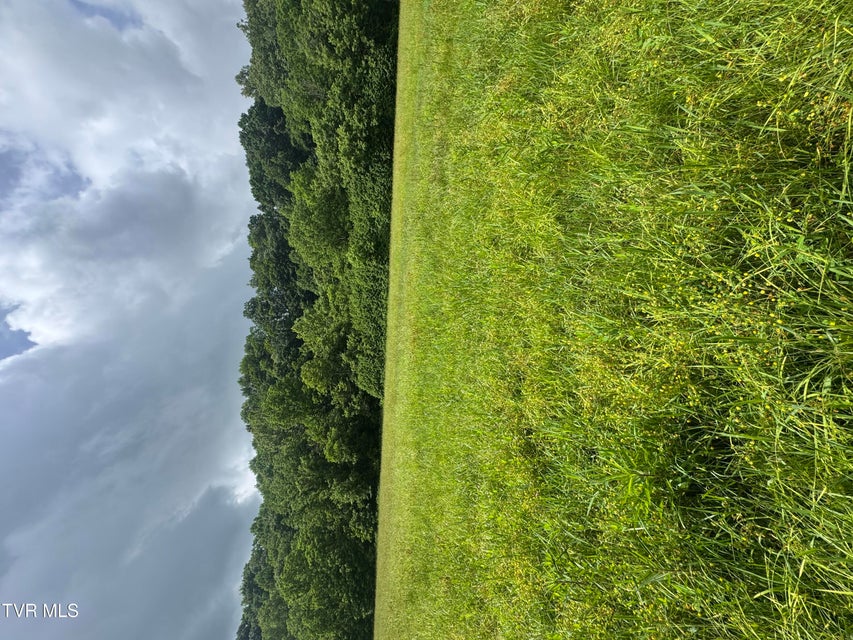 Photo #4: Tbd Highway 11 Lot 24 