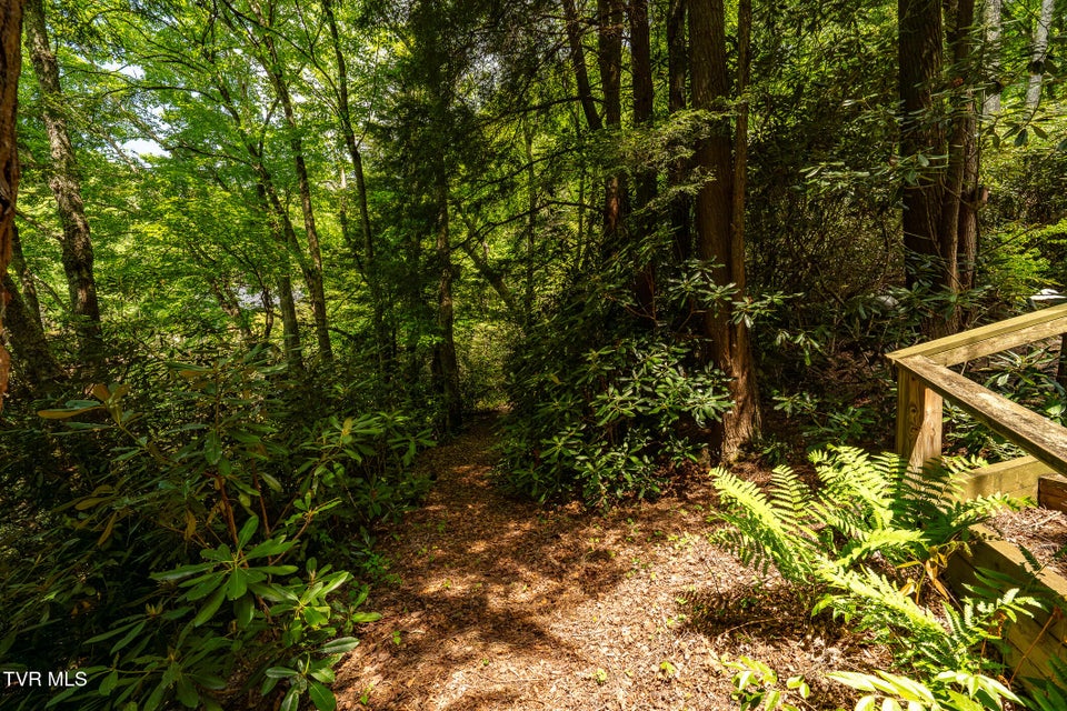Photo #55: 170 Ripshin Lake Road