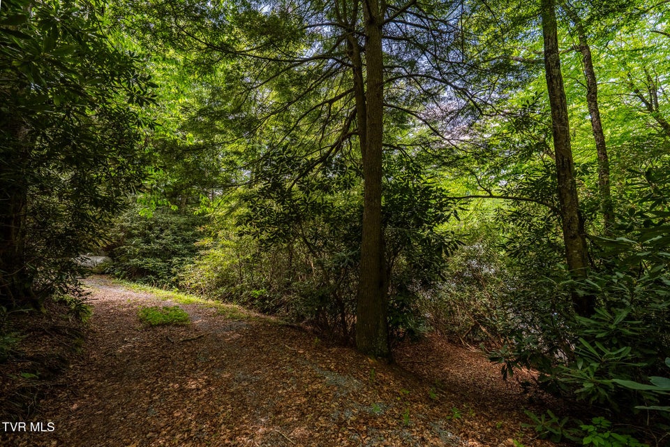 Photo #64: 170 Ripshin Lake Road