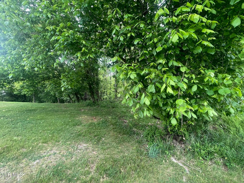 Photo #2: Tbd Hillcrest Drive
