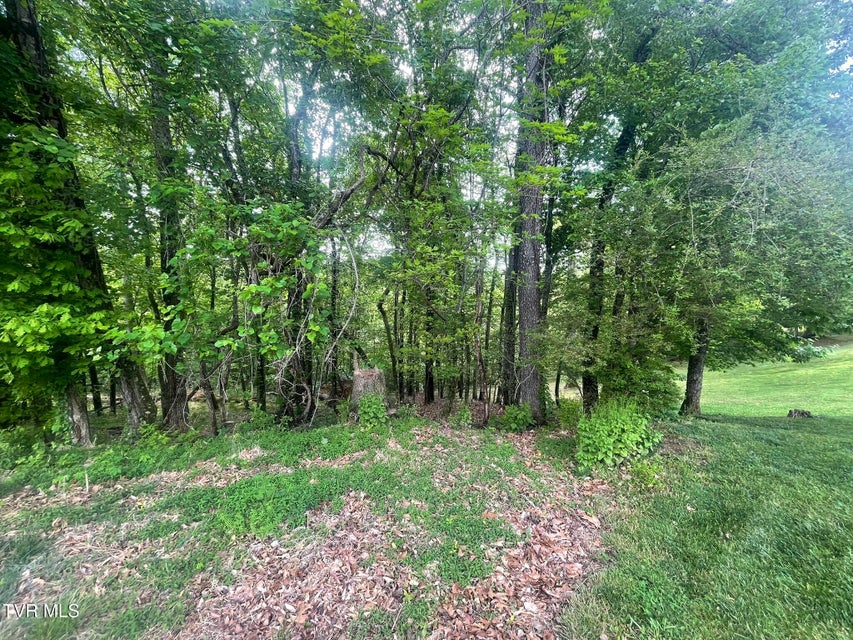 Photo #4: Tbd Hillcrest Drive